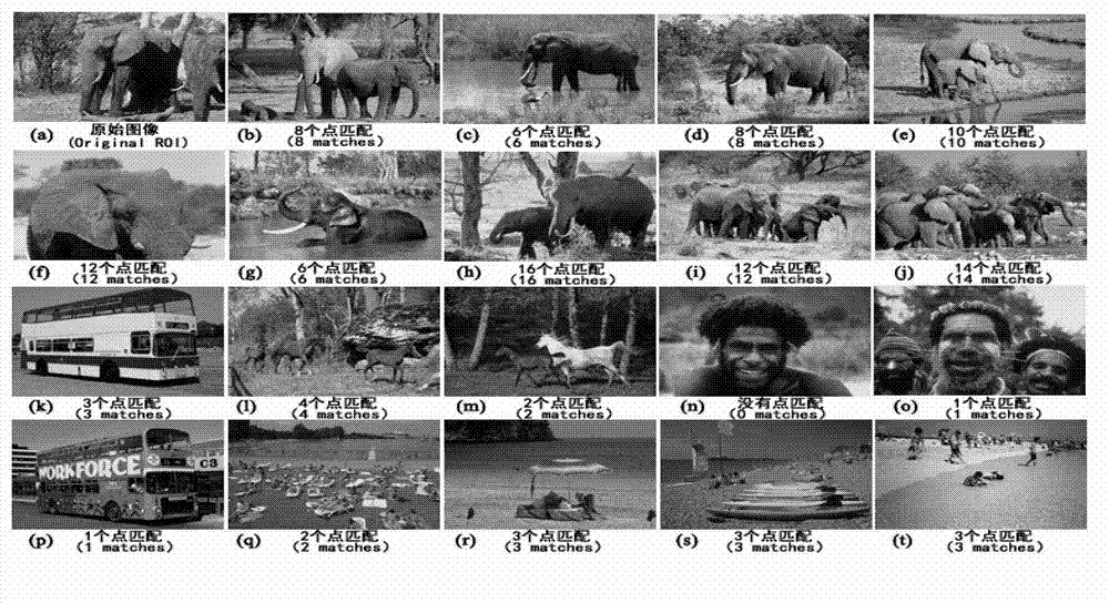 Feature extraction and matching method and device for digital image based on PCA (principal component analysis)