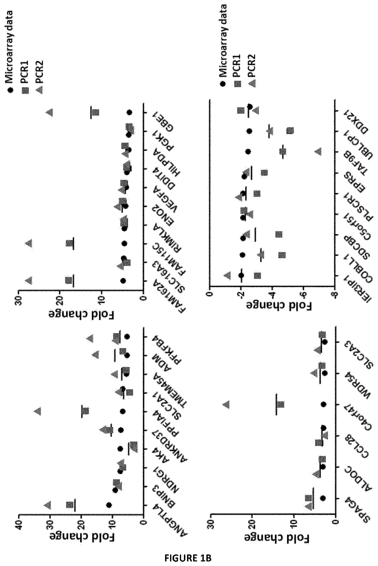 Method for assessing the response to PD-1/PDL-1 targeting drugs