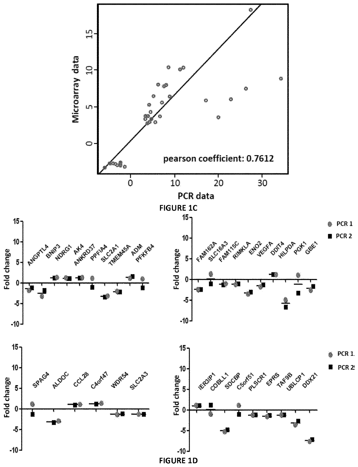 Method for assessing the response to PD-1/PDL-1 targeting drugs