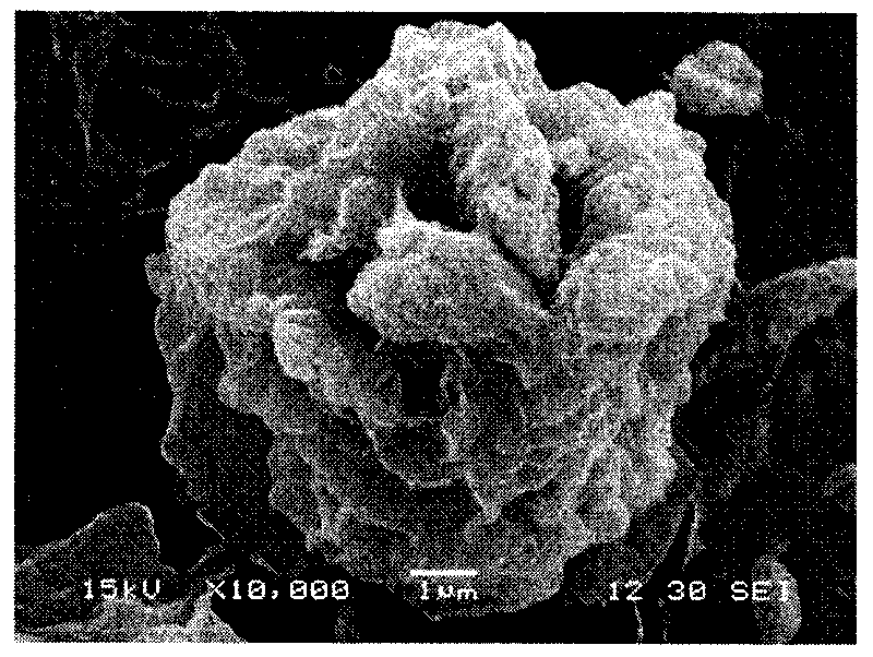 Method for preparing poly organic polysulfide/sulfonated graphene conductive composite material