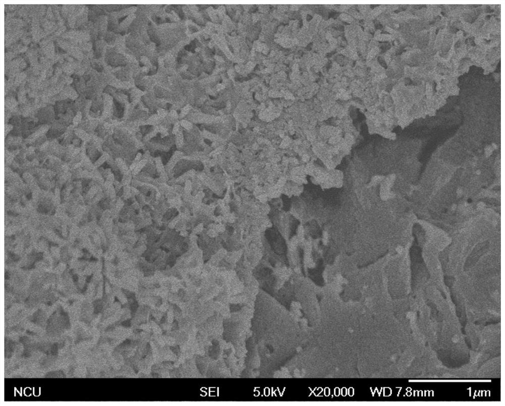 A method for antibacterial modification of the surface of an implant material