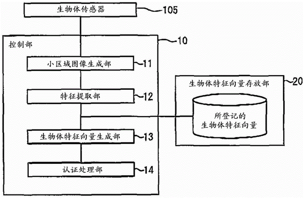 Device to extract biometric feature vector, method to extract biometric feature vector and program to extract biometric feature vector