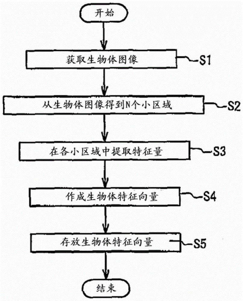 Device to extract biometric feature vector, method to extract biometric feature vector and program to extract biometric feature vector