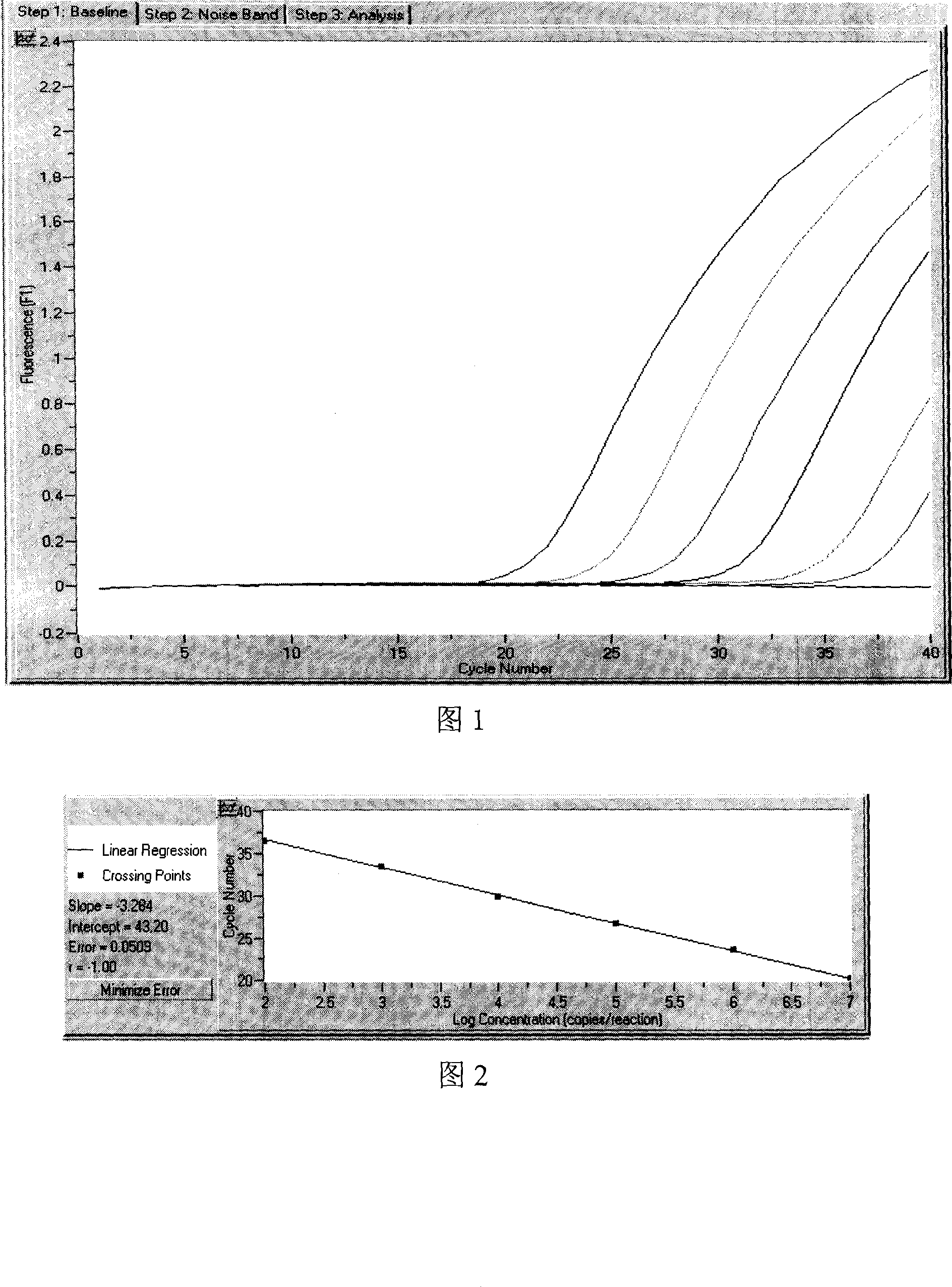 H5N1 type poultry grippal virus fluorescent augmentation detection kit and detection method