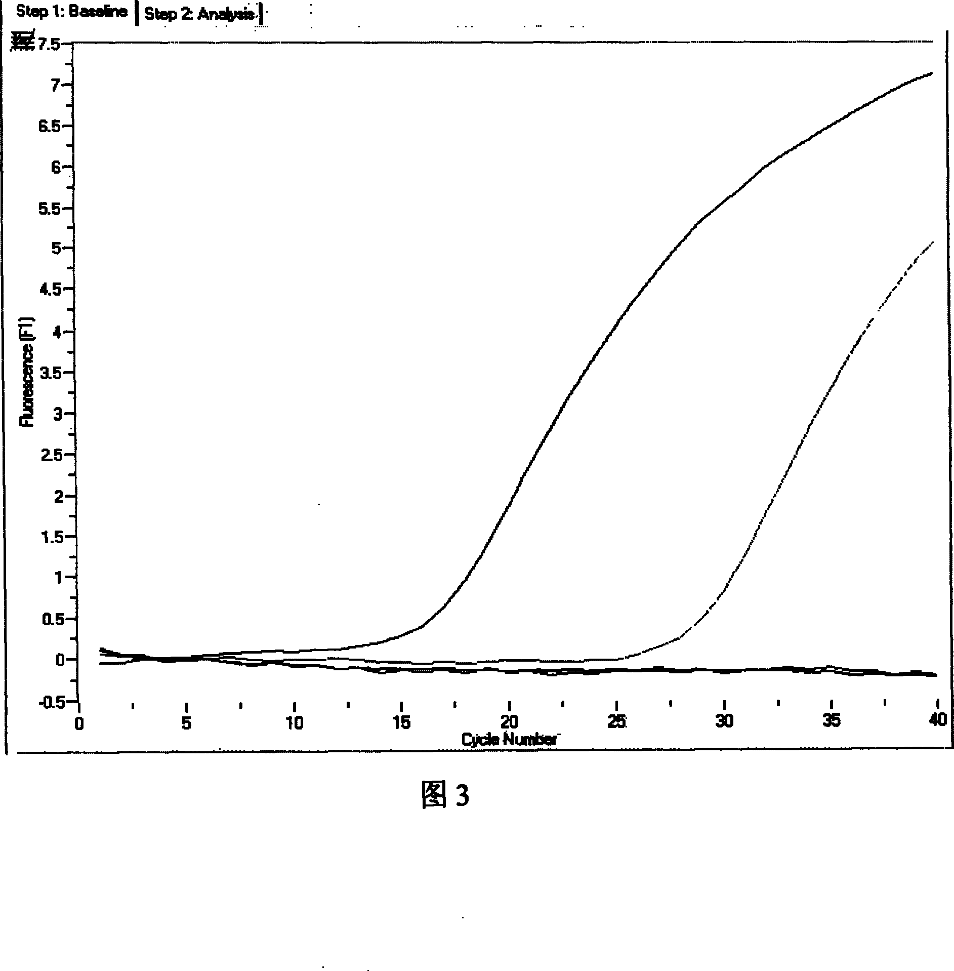 H5N1 type poultry grippal virus fluorescent augmentation detection kit and detection method