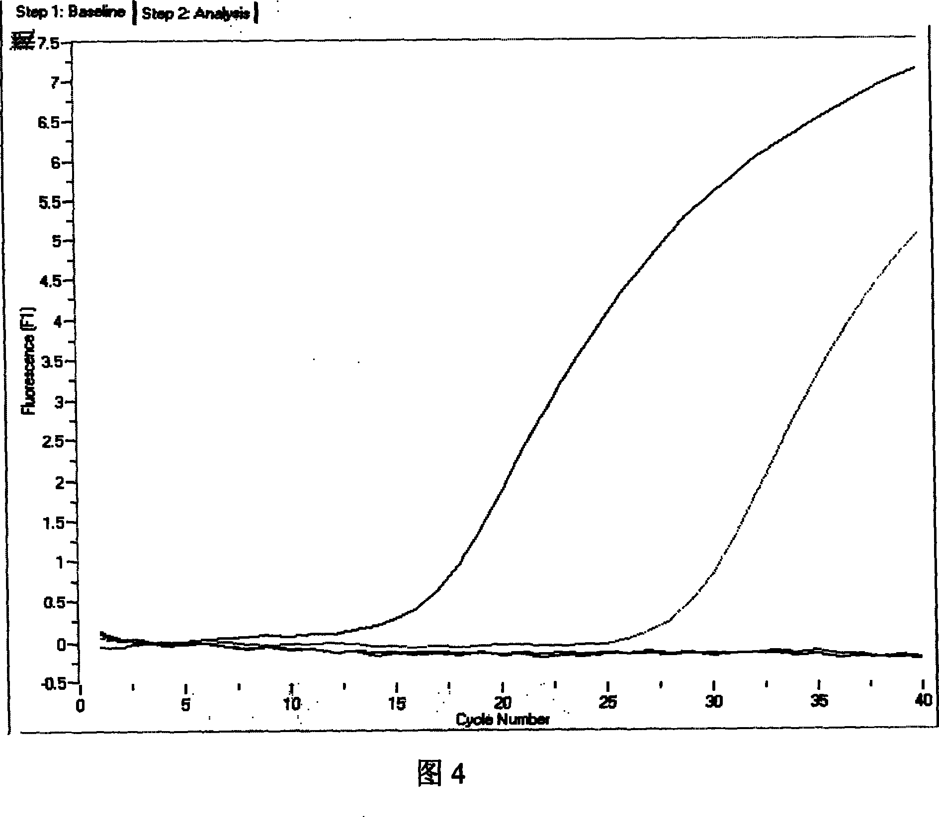 H5N1 type poultry grippal virus fluorescent augmentation detection kit and detection method