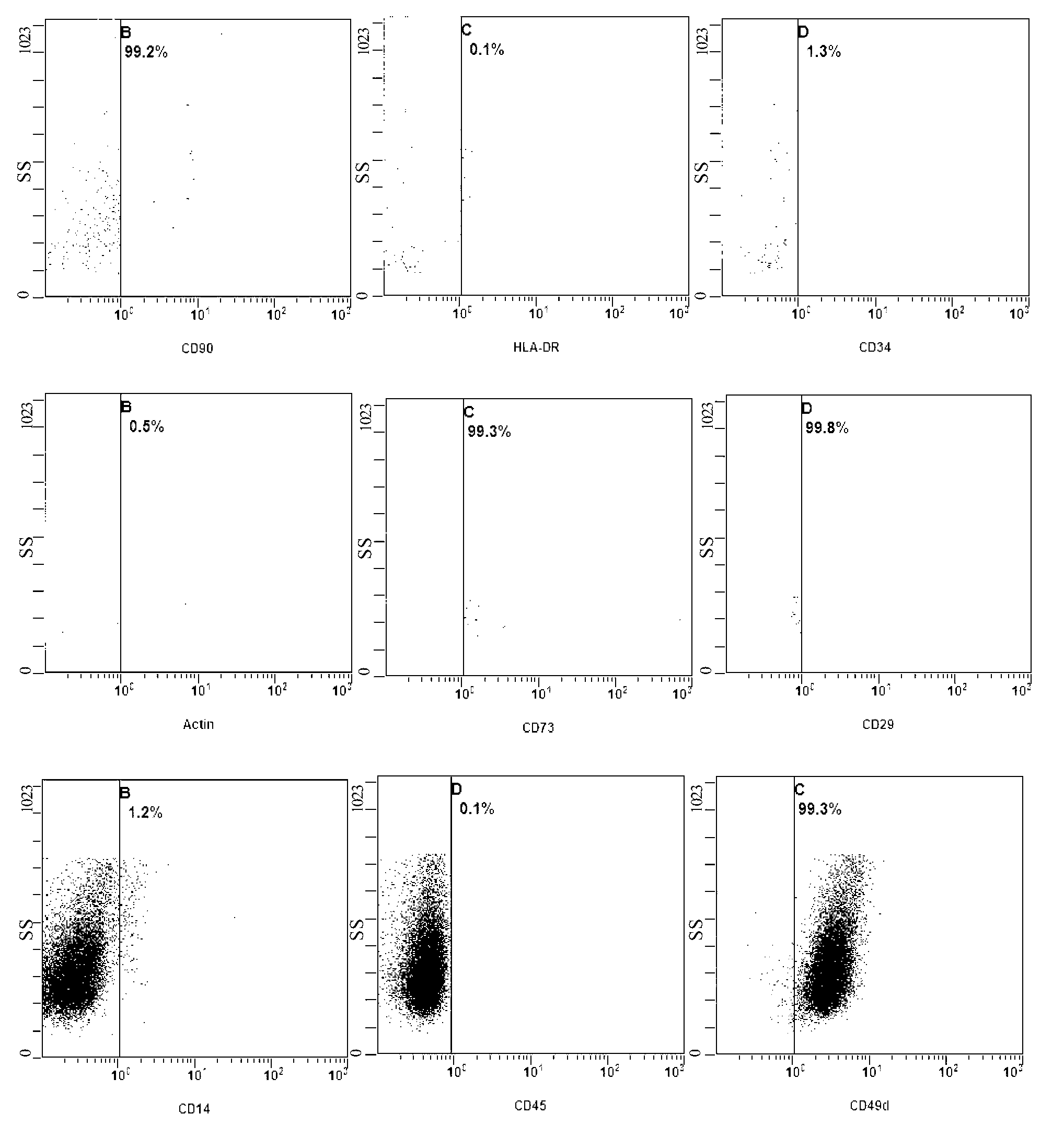 Tissue cryopreservation liquid capable of maintaining cell activity