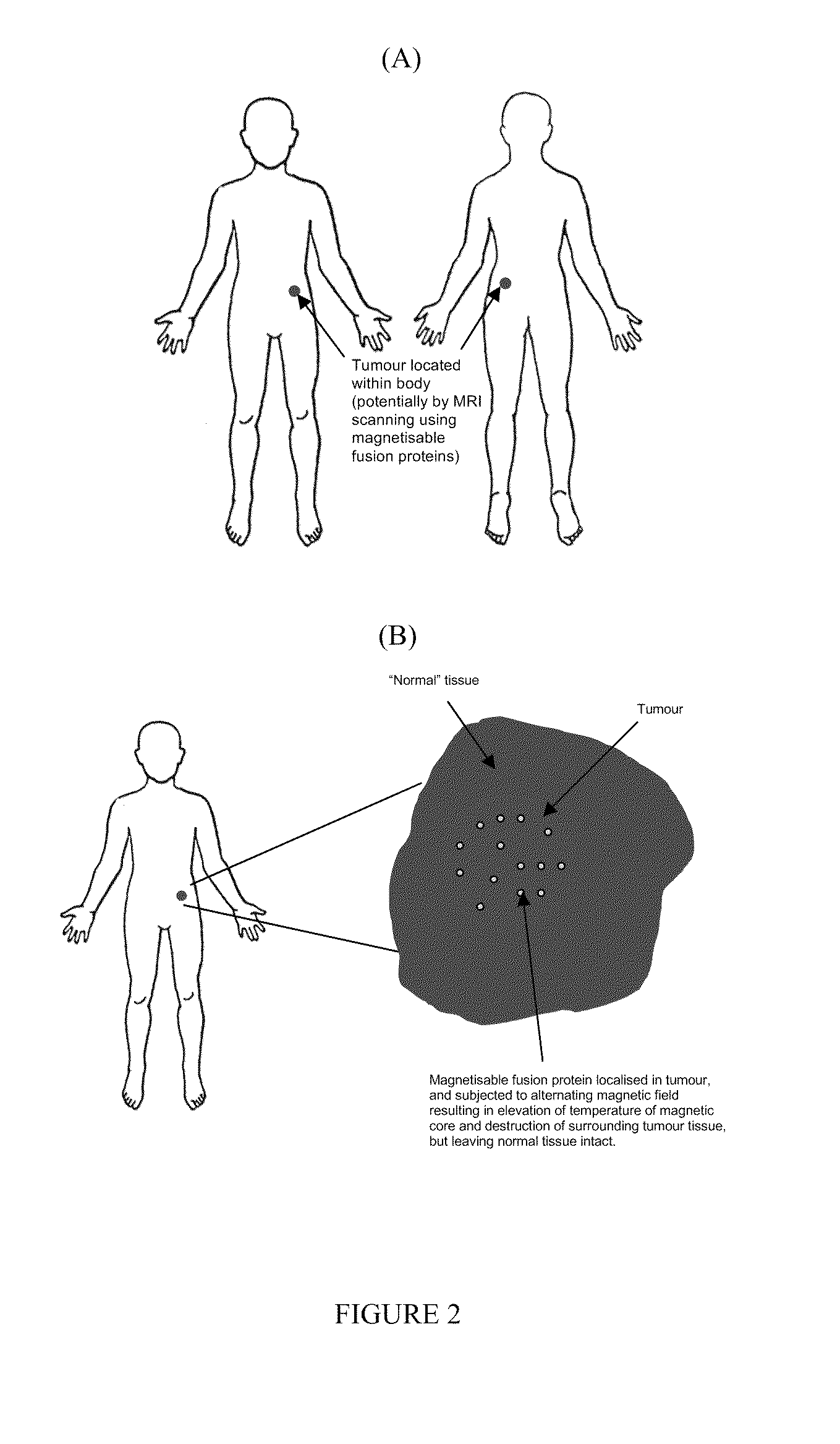 Vector for use in medicine