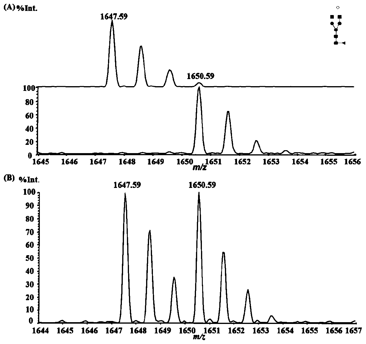 Isotope-labeled bionic sugar or sugar group and preparation method and applications thereof