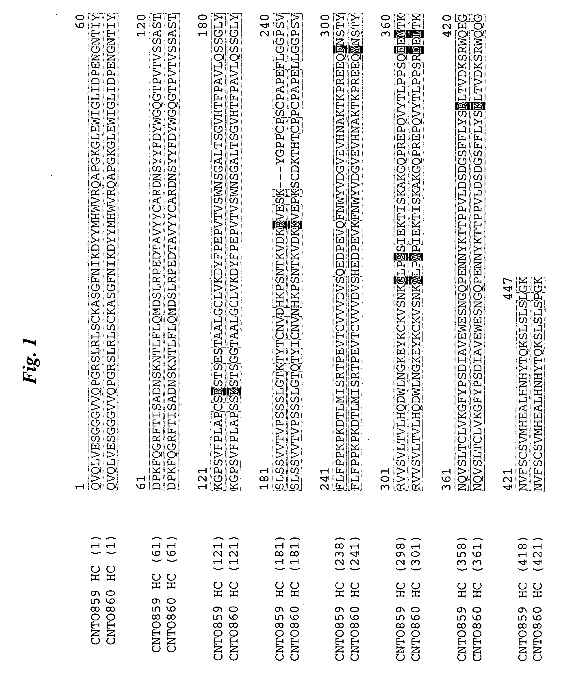 Anti-tissue factor antibodies and compositions