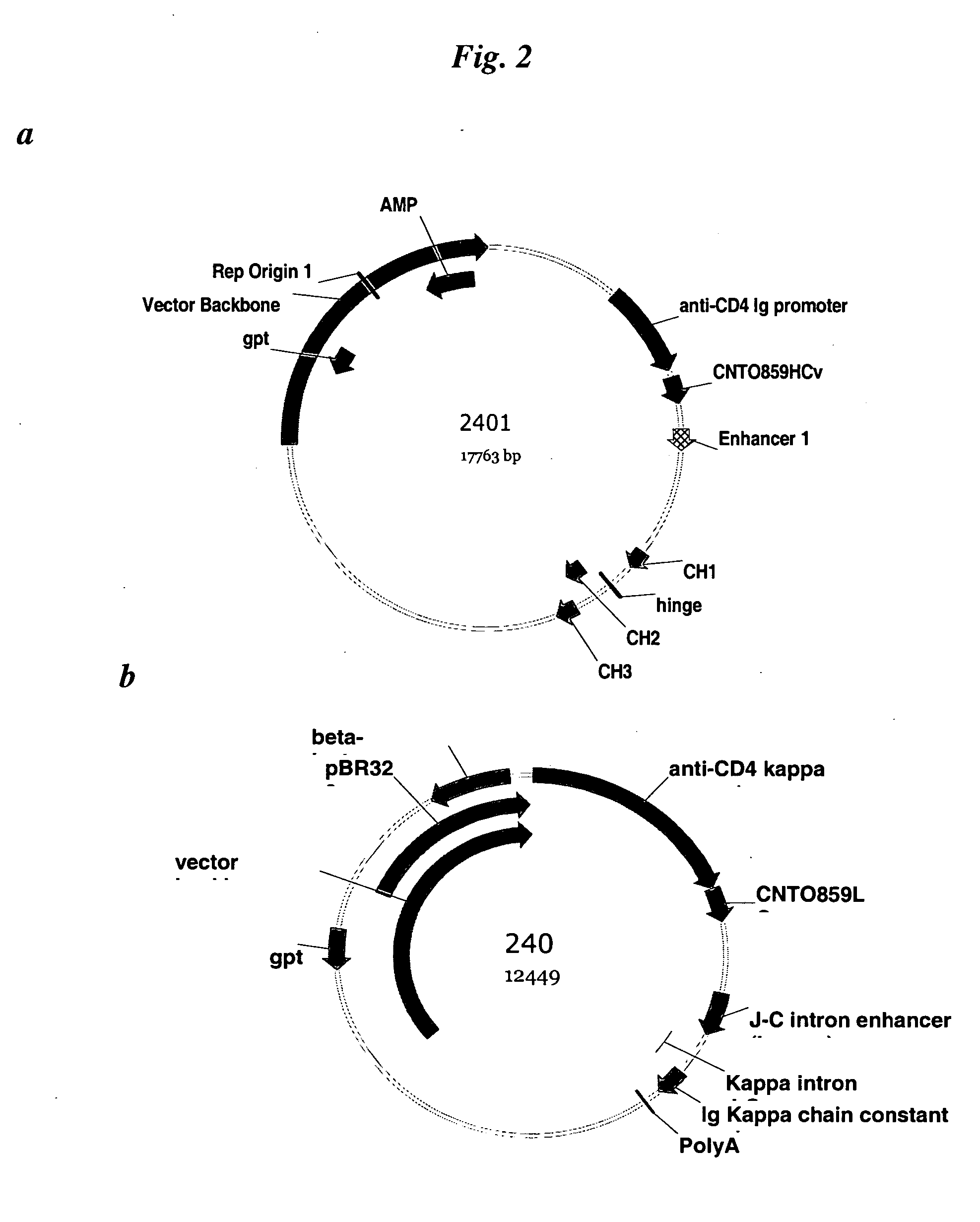 Anti-tissue factor antibodies and compositions