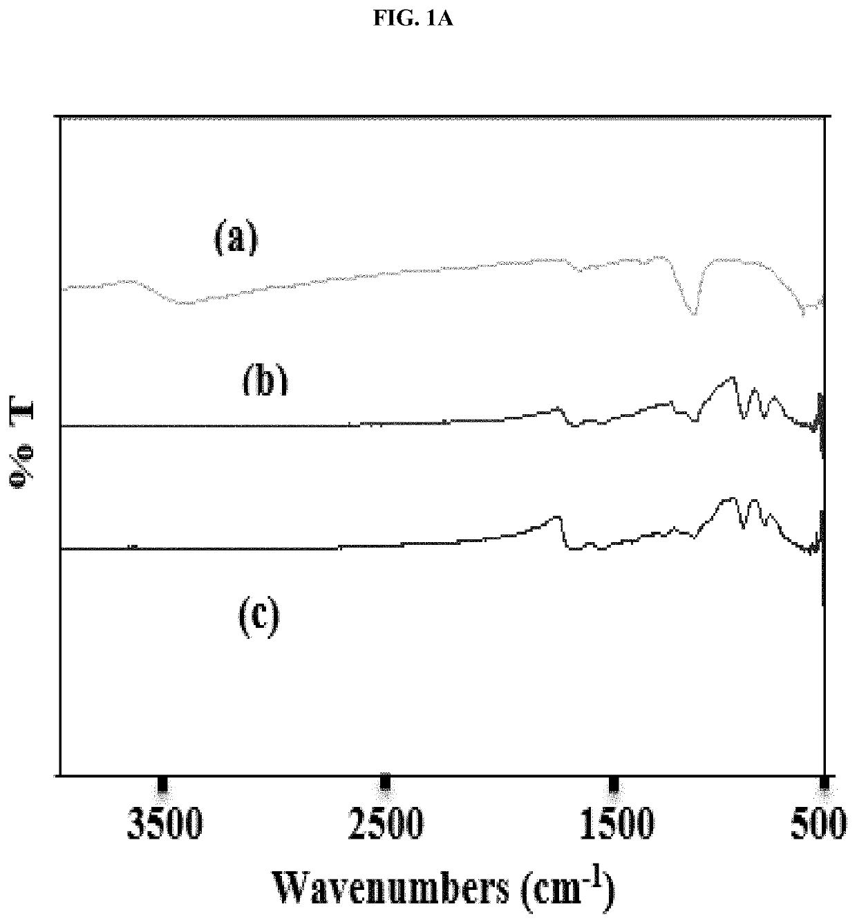 Modified protein adsorbents for contaminant removal