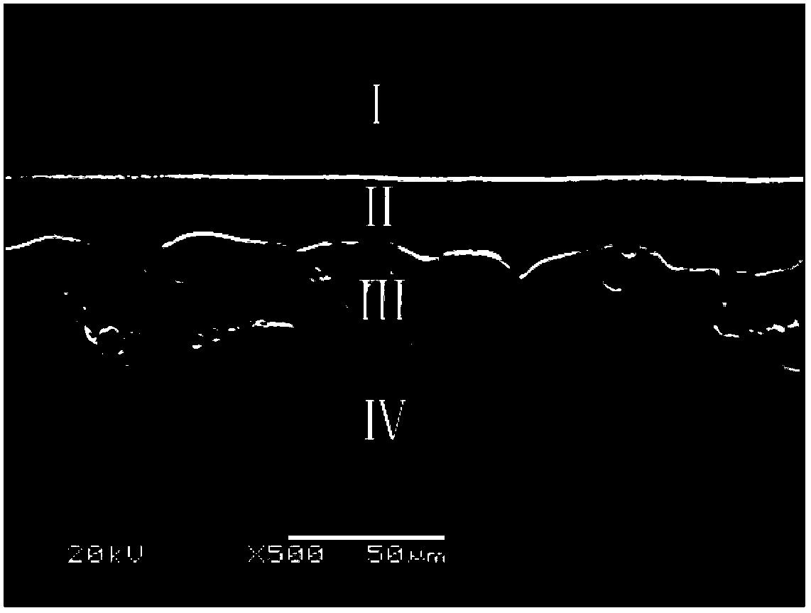 Magnesium alloy microarc oxidation-electrophoresis composite coating and preparation method thereof