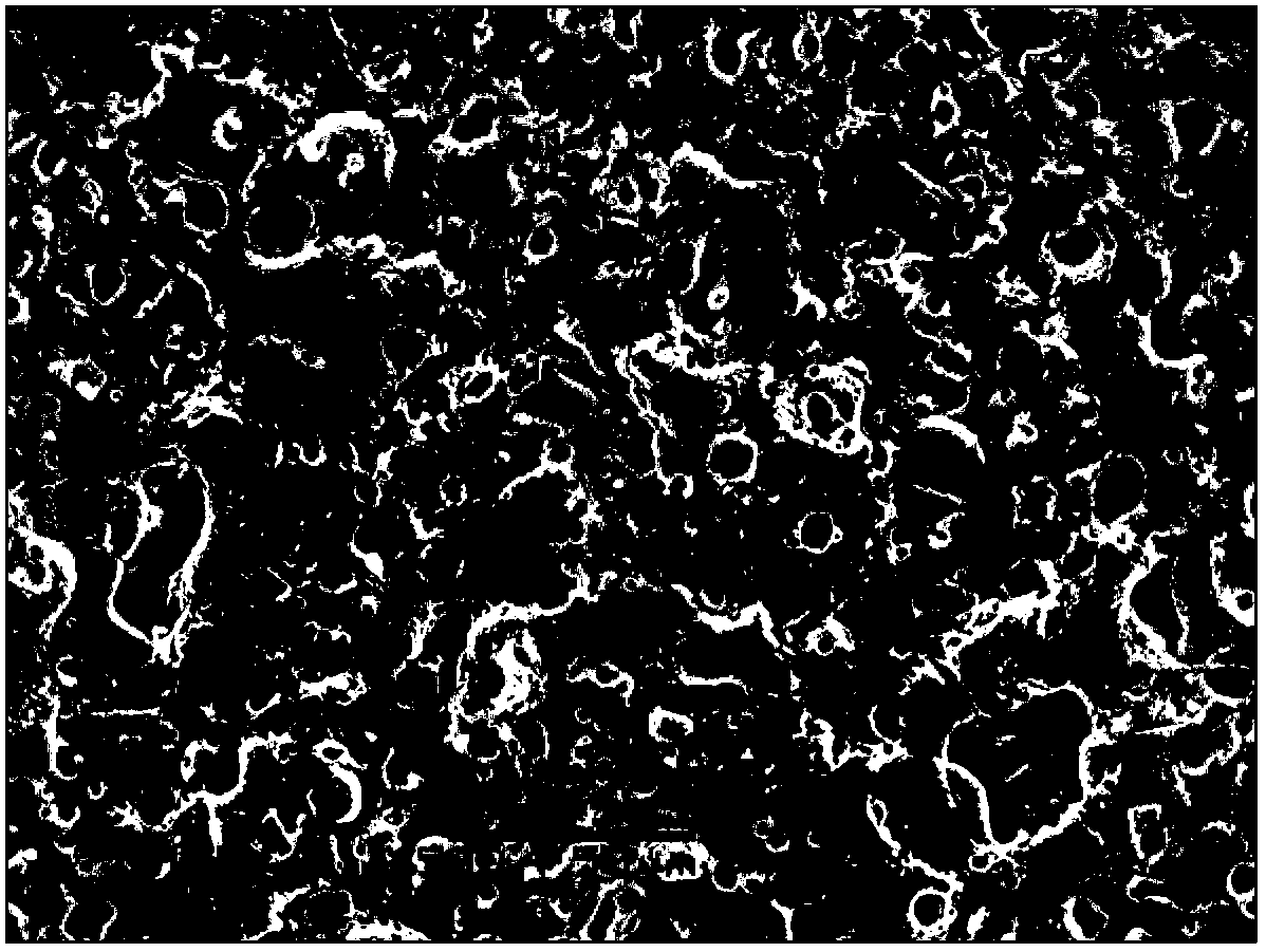 Magnesium alloy microarc oxidation-electrophoresis composite coating and preparation method thereof