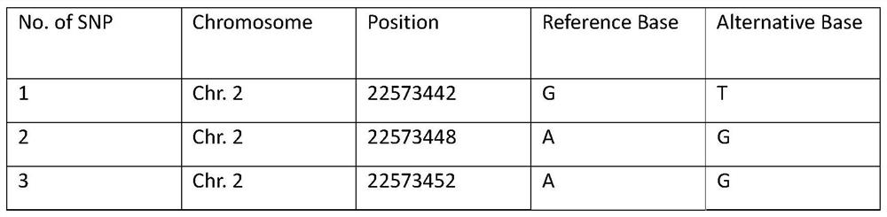 Molecular marker for identifying sex of haliotis discus hannai and primer thereof