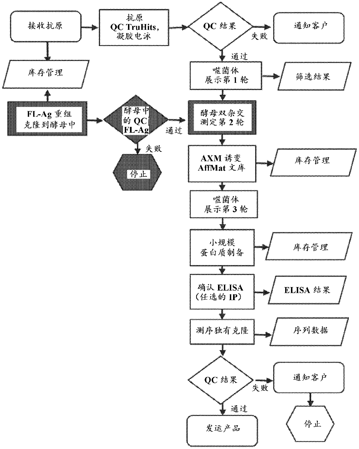 Methods of identifying and validating affinity reagents