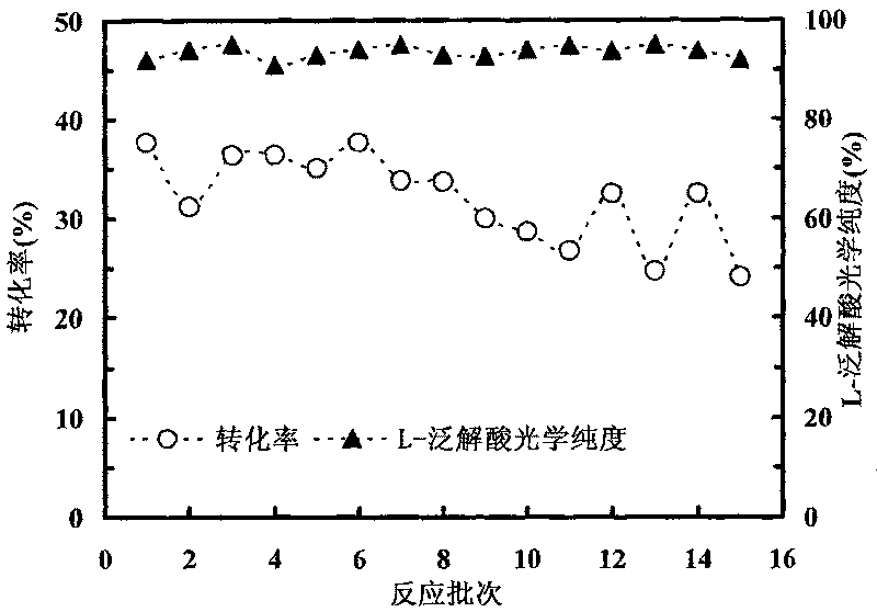 Agrobacterium strain and method for preparing left-lateral lactone compounds thereby