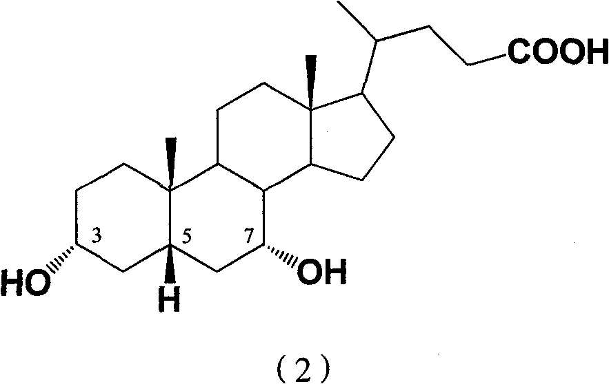 Preparation method of 7-keto lithocholic acid