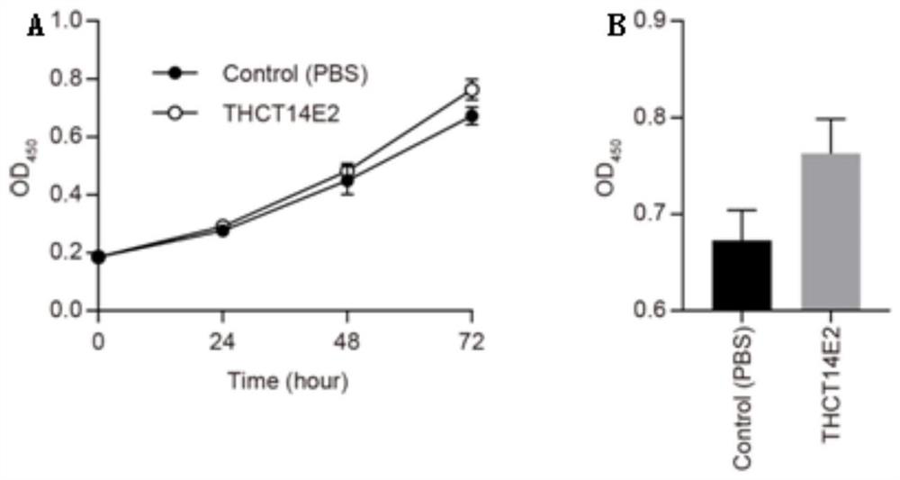 A strain of Fusobacterium nucleatum obtained from colorectal cancer tumor tissue and its application