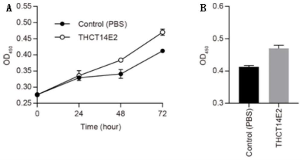 A strain of Fusobacterium nucleatum obtained from colorectal cancer tumor tissue and its application