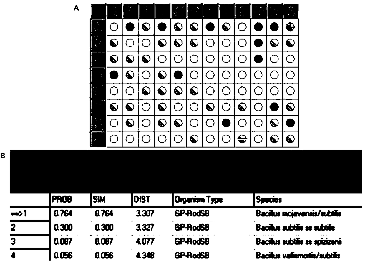 Halobacillus trueperi S61 and application thereof