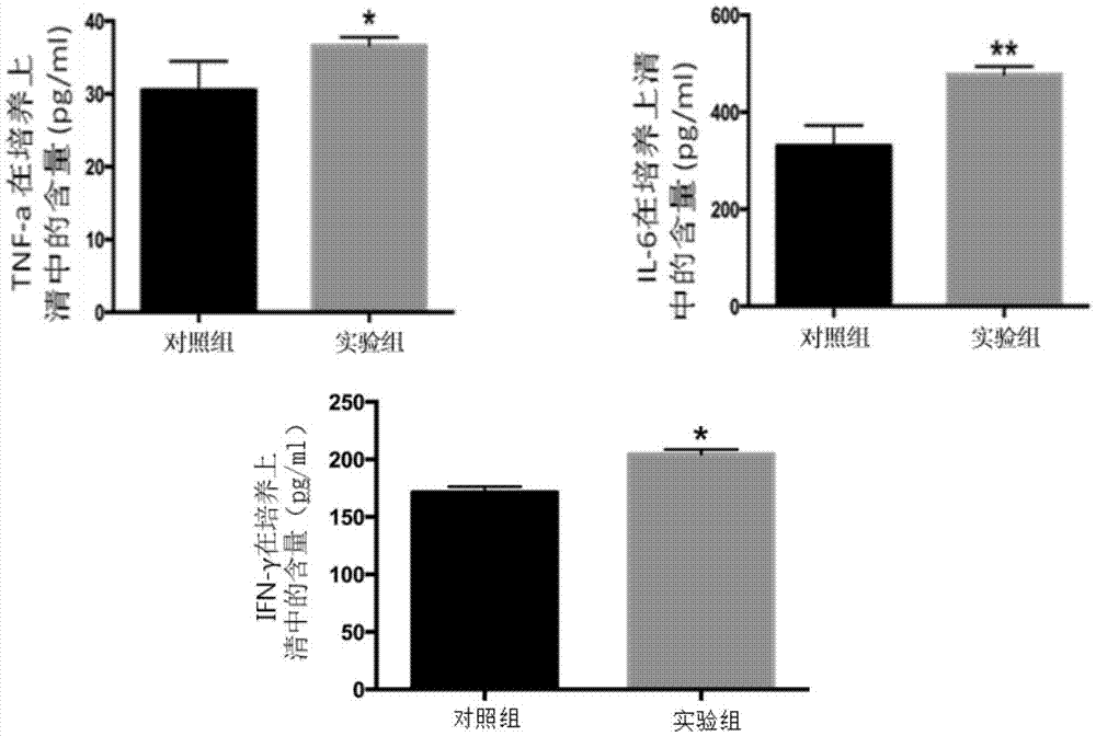 Application of mesenchymal stem cell culture or culture supernatant thereof