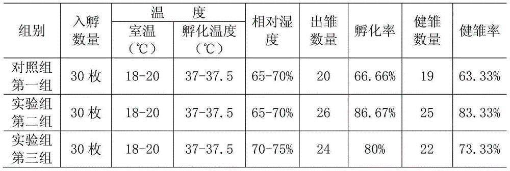 Artificial pavo critatus breeding method under high-altitude environment