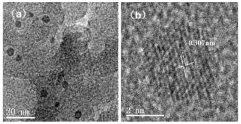 Device and method for large-scale continuous preparation of metal nanoparticles