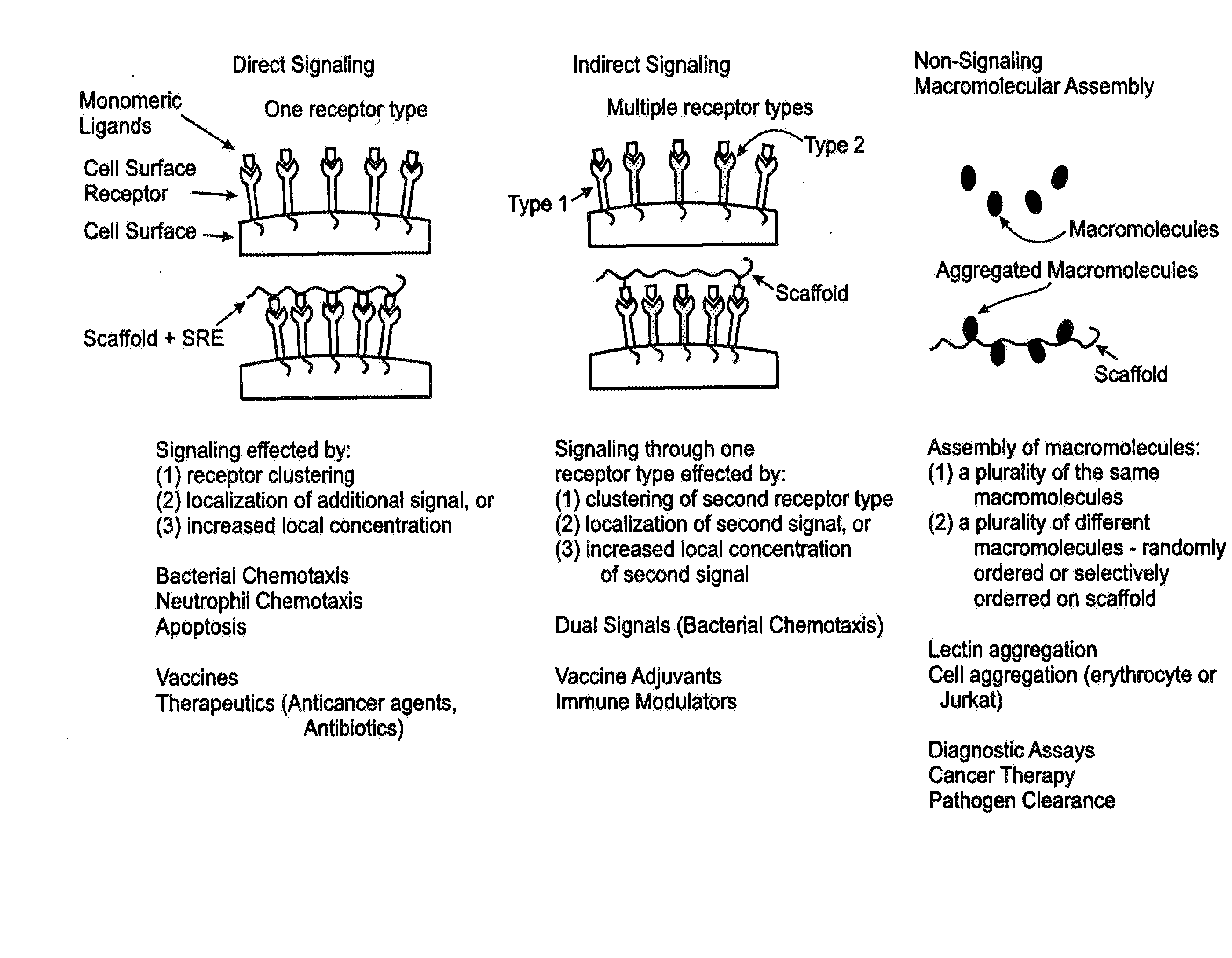 Methods and Reagents for Regulation of Cellular Responses in Biological Systems