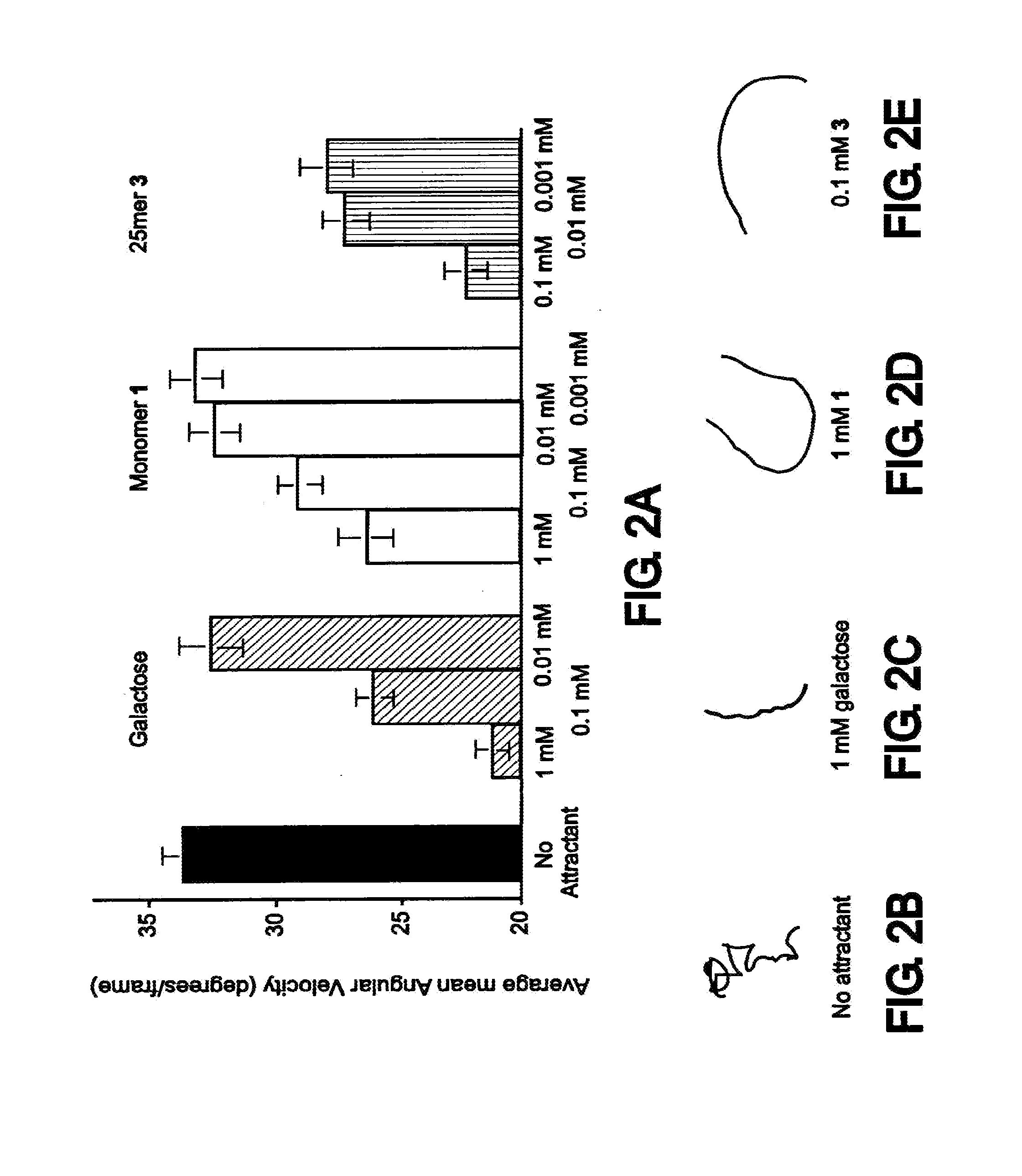 Methods and Reagents for Regulation of Cellular Responses in Biological Systems