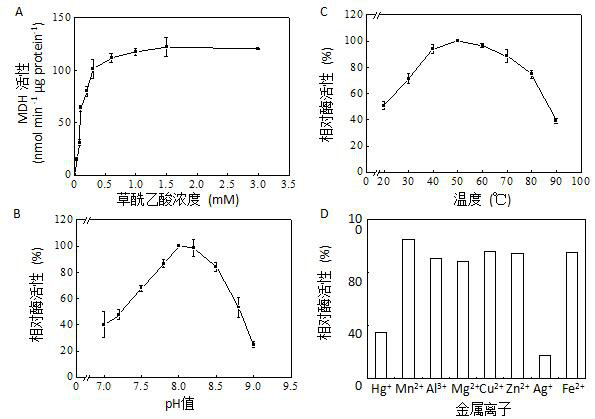 Application of gmmdh12 Gene in Promoting Soybean Nodulation and Nitrogen Fixation