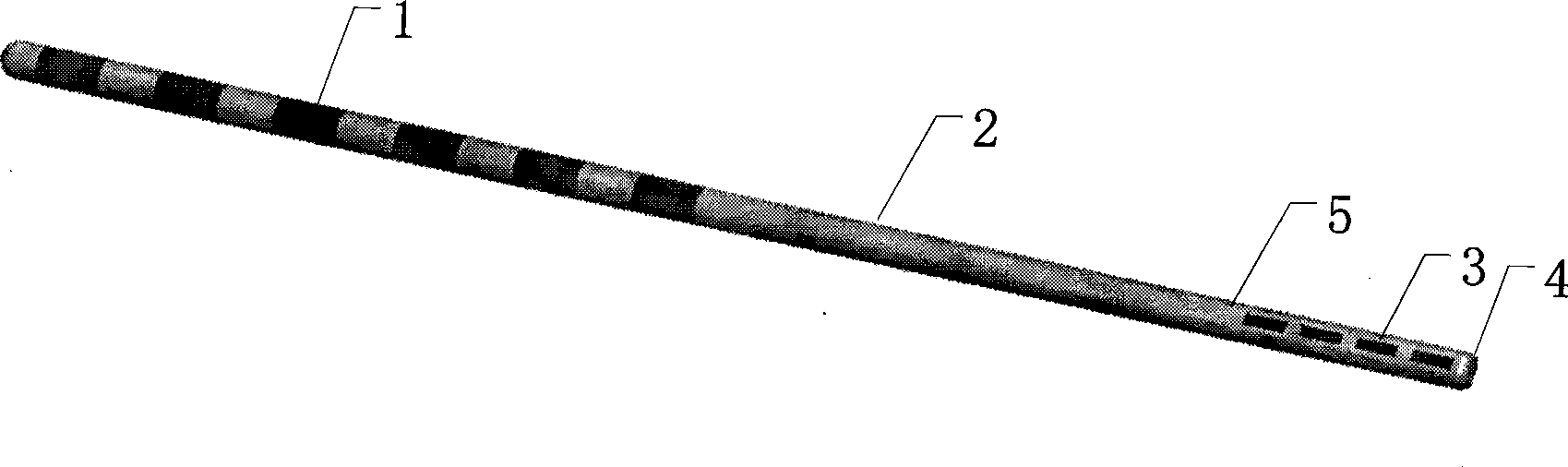 Implantation type bioelectrode and method for producing the same