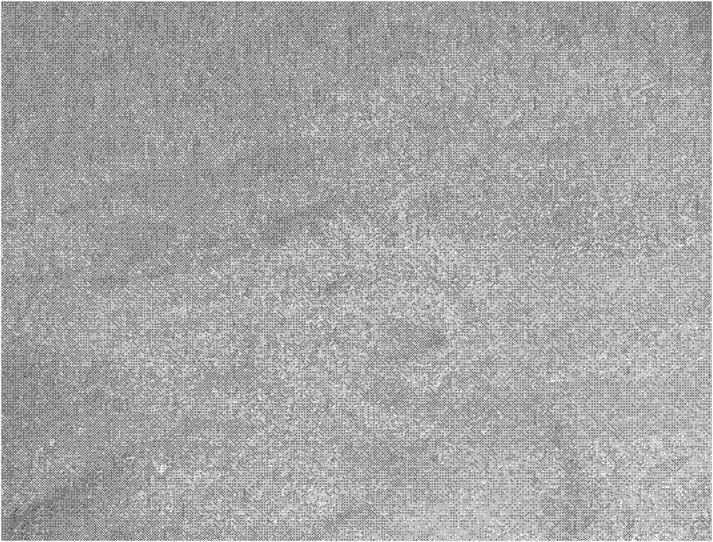 Manufacturing process of high-quality wide and thick plate blank