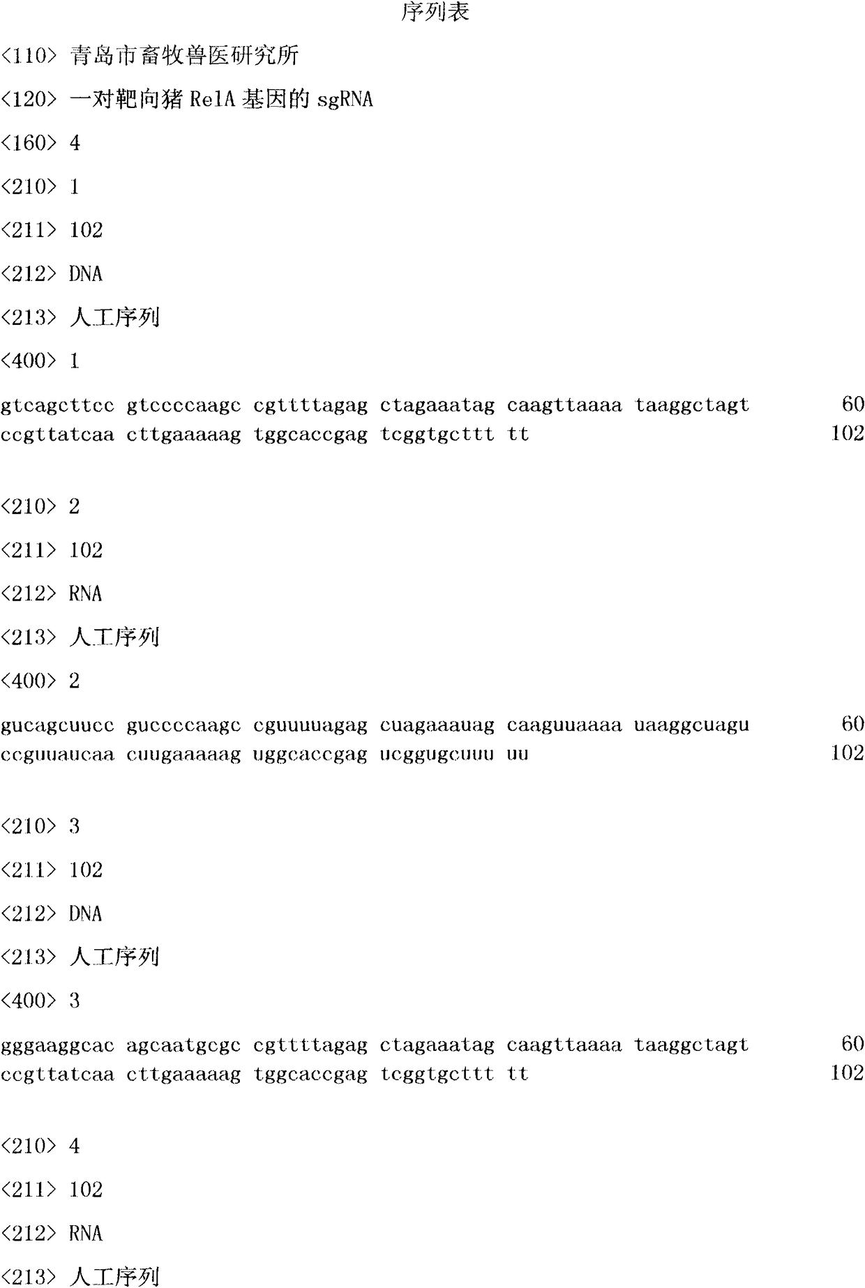 A pair of sgRNAs targeting the porcine rela gene