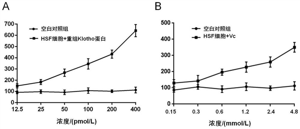 Anti-aging secretory Klotho protein and coding gene thereof, recombinant expression vector and application