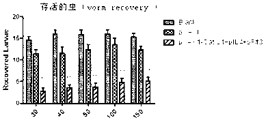 Vaccine composition for improving immune protective rate of anti-Fasciola hepatica Cat L1 DNA, and preparation method thereof