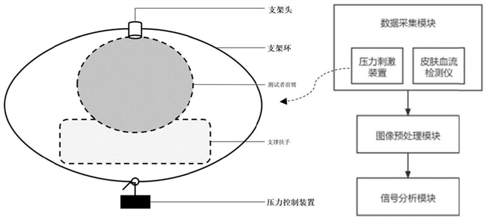 Skin microvascular reactivity testing system and method based on local pressure induction