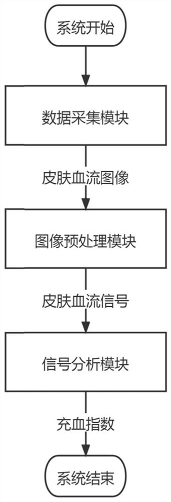 Skin microvascular reactivity testing system and method based on local pressure induction