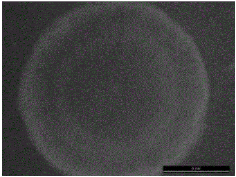 Culture medium for quickly screening filamentous fungi for producing polyunsaturated fatty acid and application of culture medium