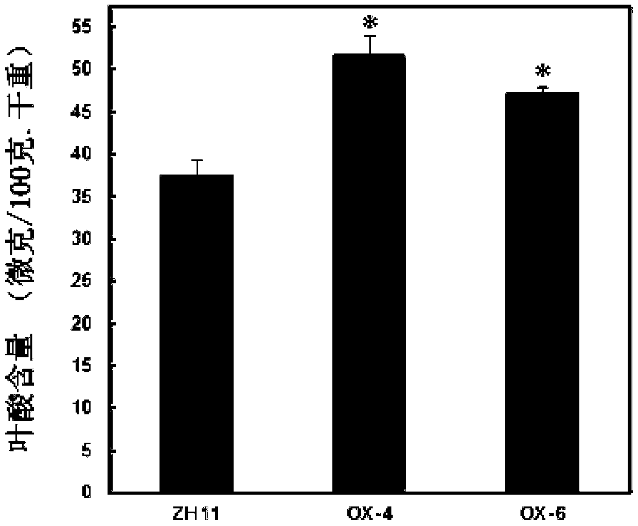 The Application of OSAPBP2 Protein in Promoting Folate Synthesis in Plants