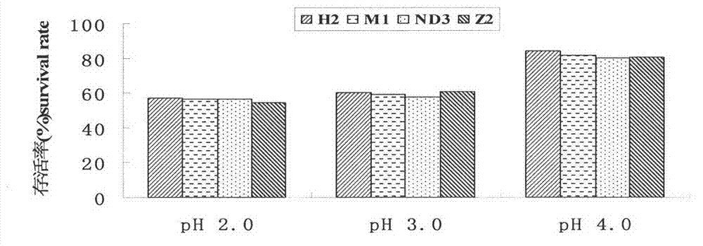 Bacillus licheniformis H2 and application thereof