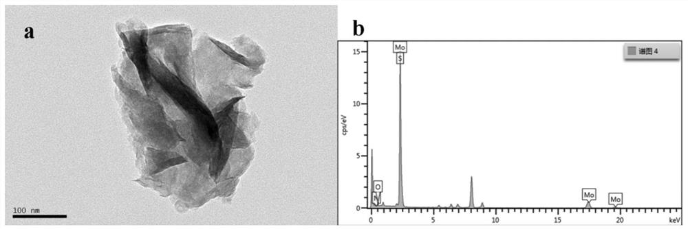 A kind of preparation method and application of polydopamine/nanometer molybdenum disulfide photocatalyst