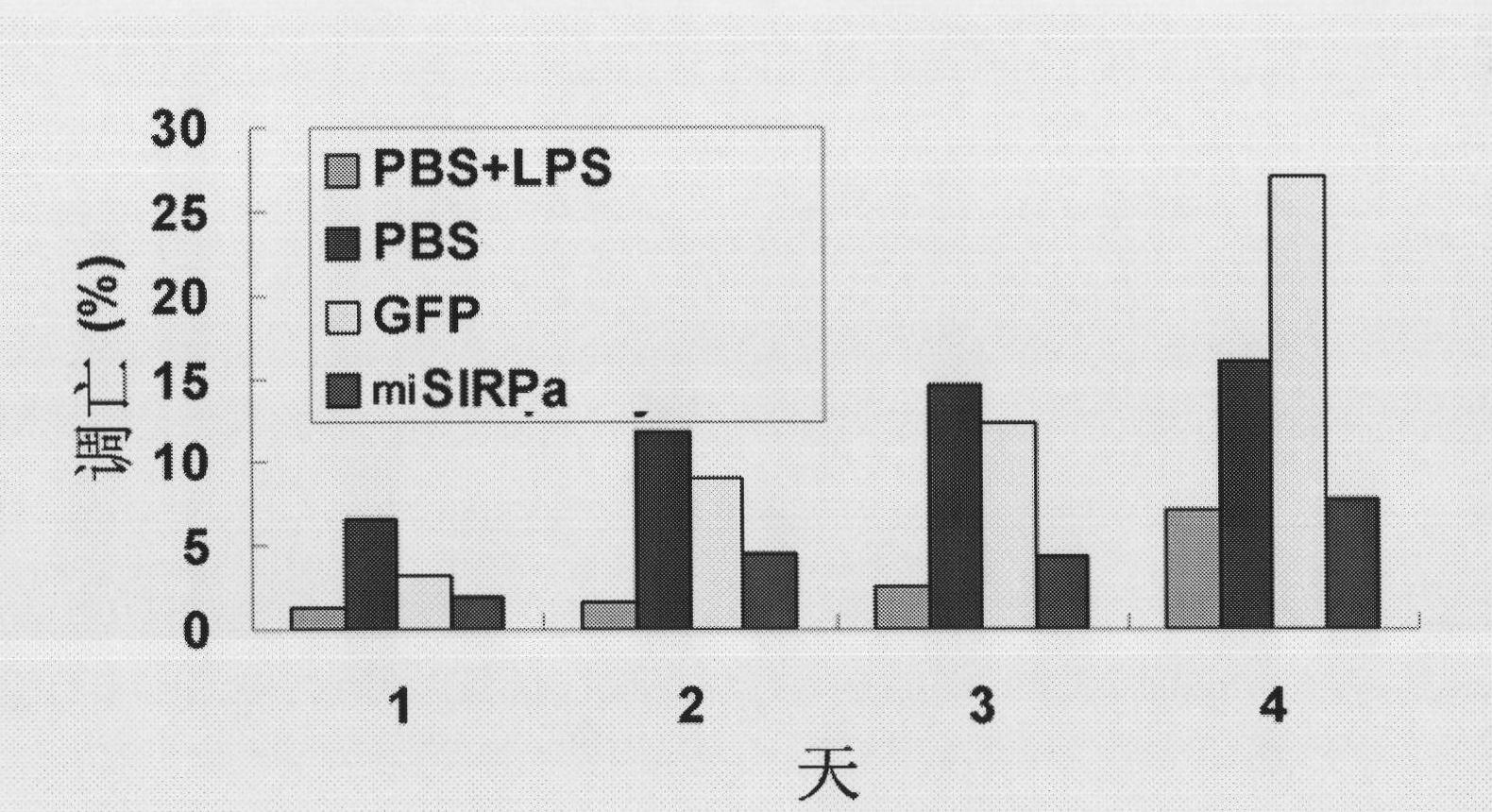 Application of signal adjusting protein alpha in preparation of DC vaccine for preventing and treating tumors