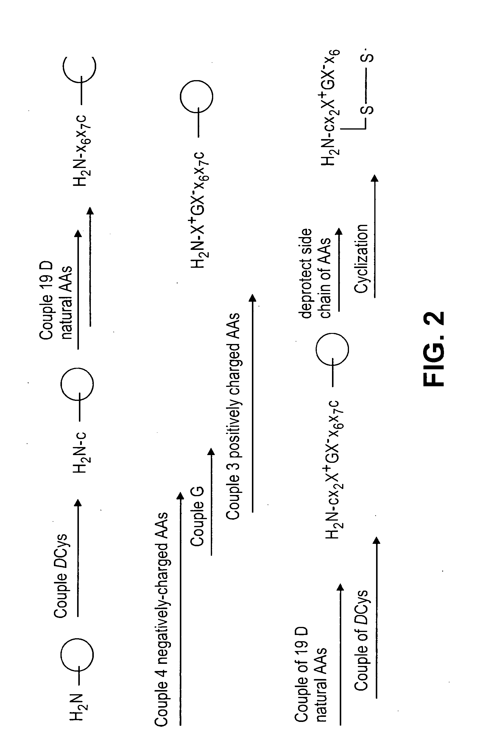 Rgd-containing cyclic peptides