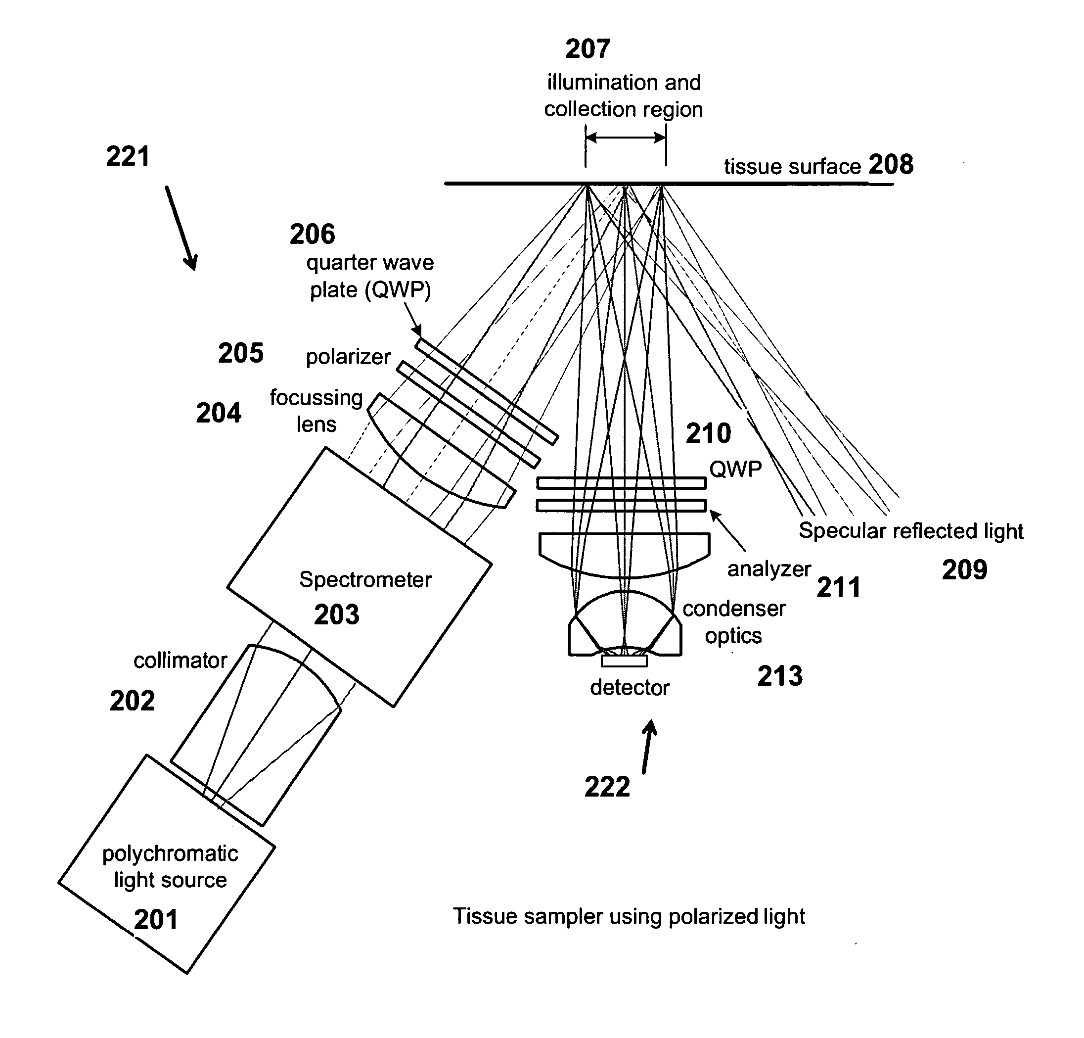 Methods and apparatuses for noninvasive determinations of analytes