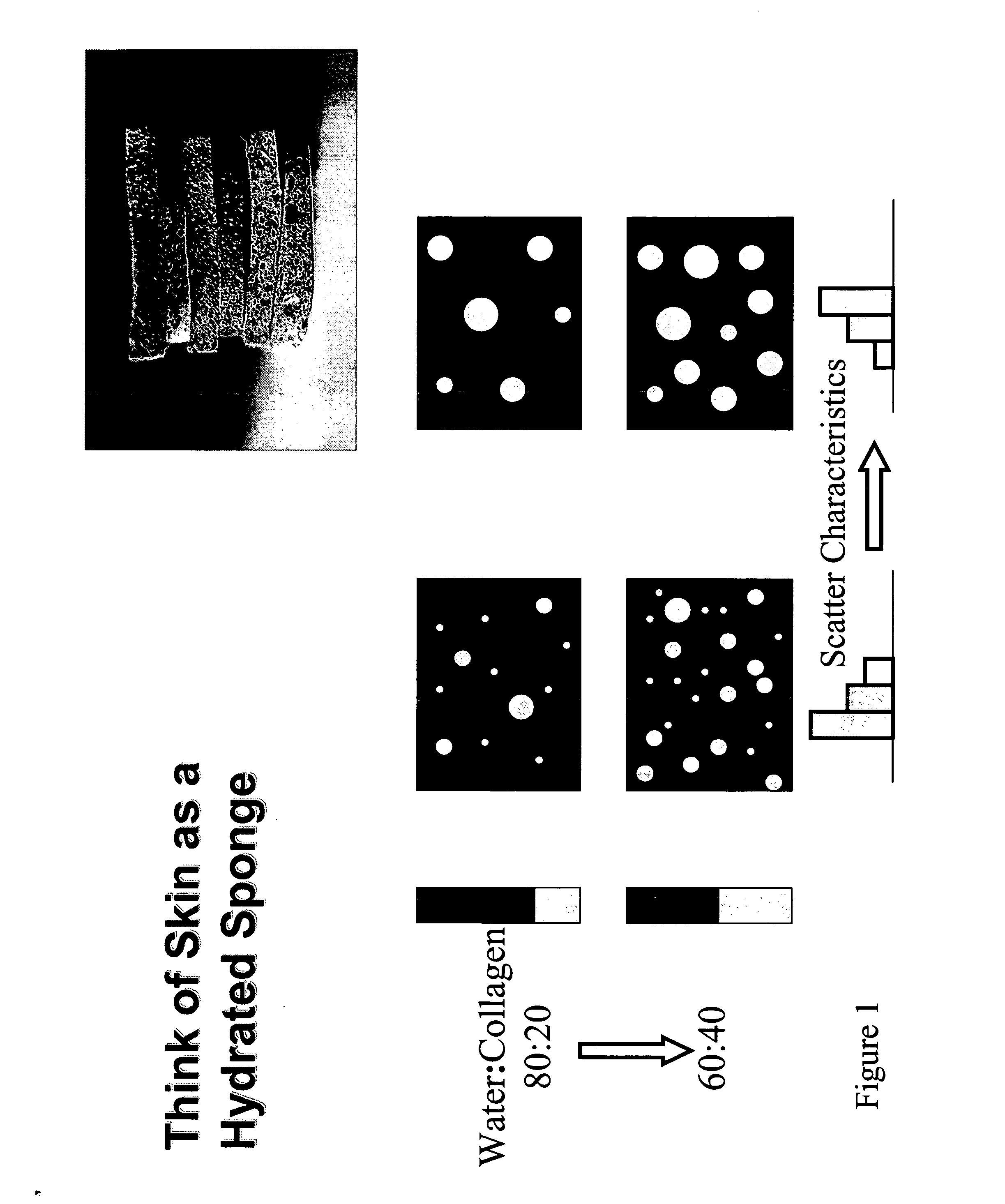 Methods and apparatuses for noninvasive determinations of analytes