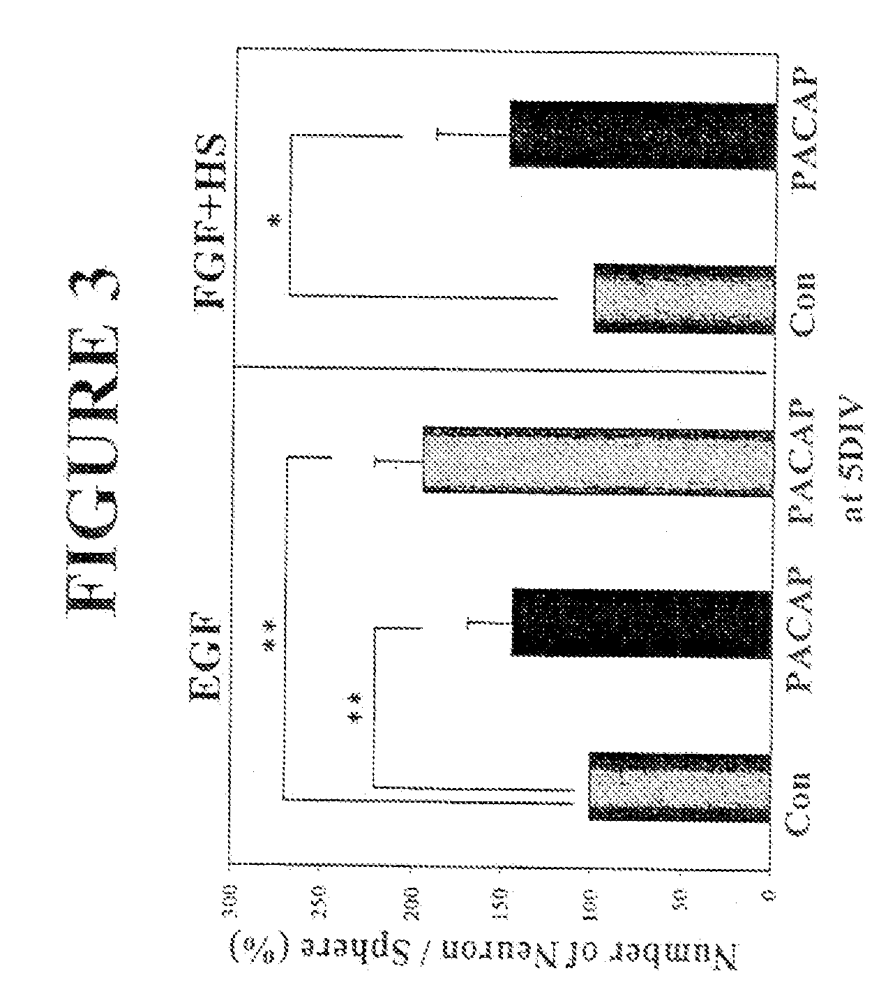 Method of Enhancing Neural Stem Cell Proliferation, Differentiation, and Survival Using Pituitary Adenylate Cyclase Activating Polypeptide (PACAP)