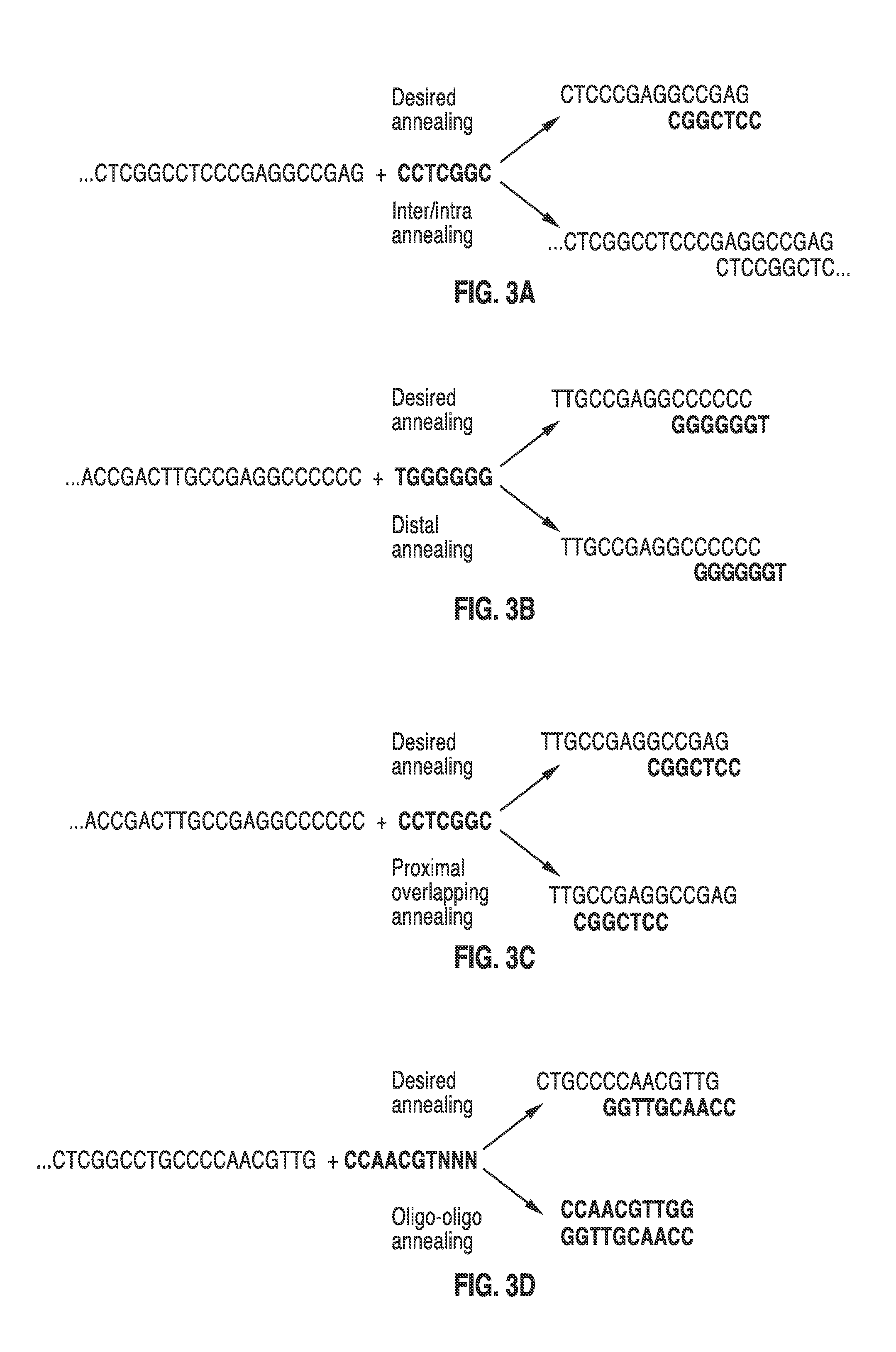 Methods and apparatus for nucleic acid synthesis using oligo-templated polymerization