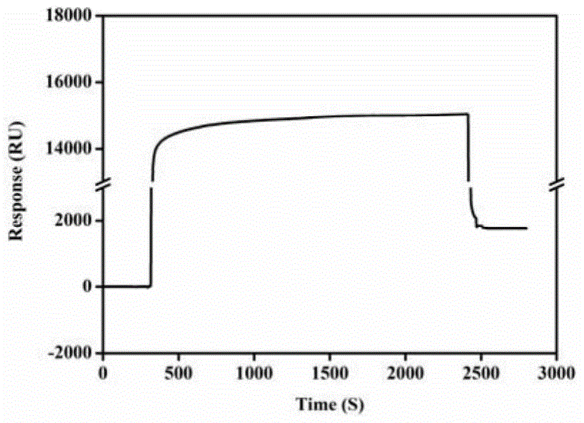 A surface plasmon resonance sensor and its preparation and application