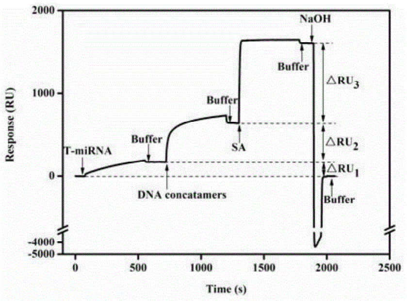 A surface plasmon resonance sensor and its preparation and application